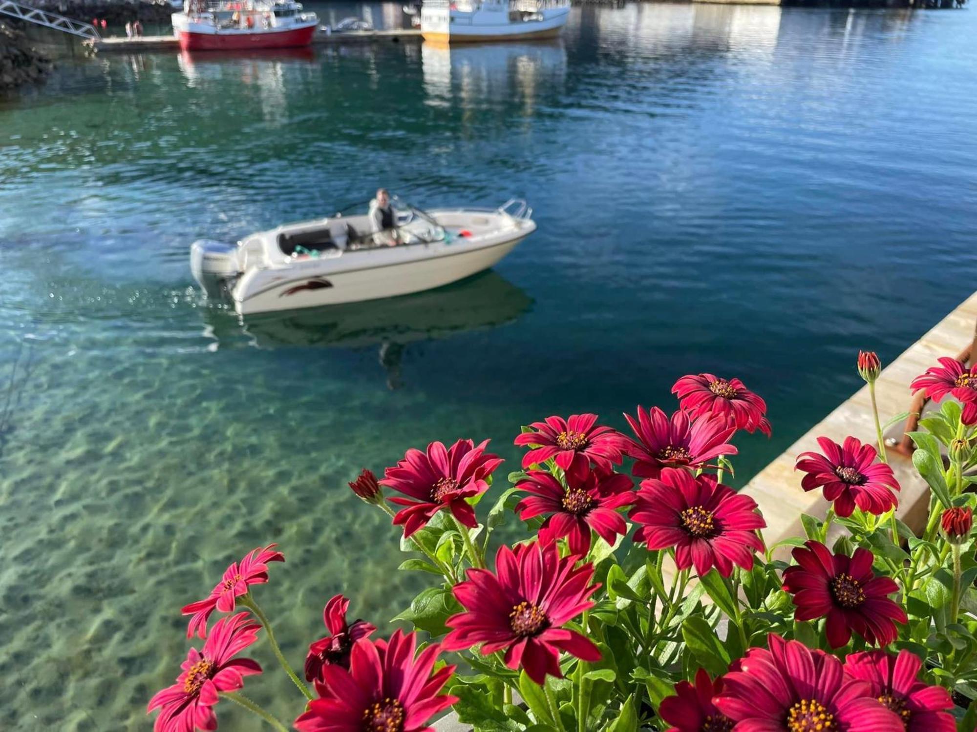 1. Etg I Dampskipsbrygga, Lodingen Havn Exteriör bild