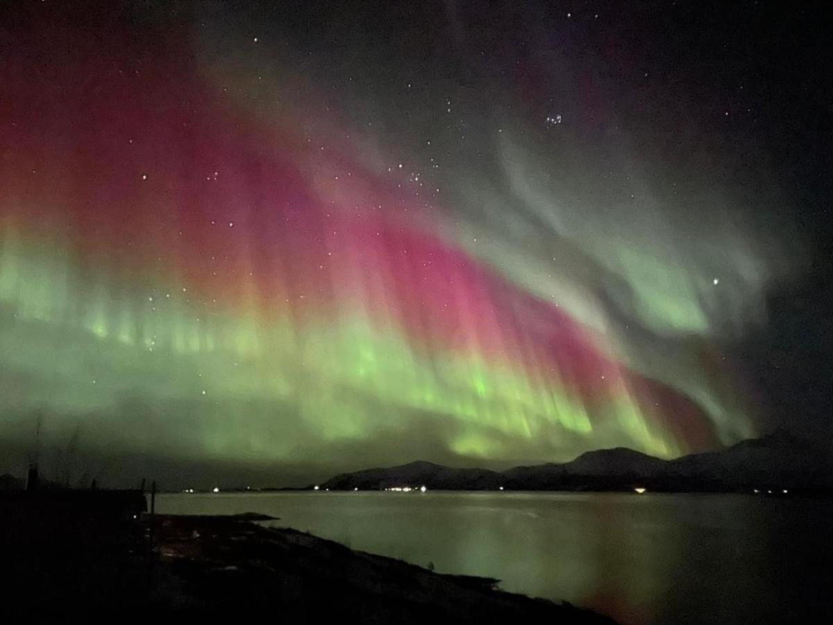 1. Etg I Dampskipsbrygga, Lodingen Havn Exteriör bild