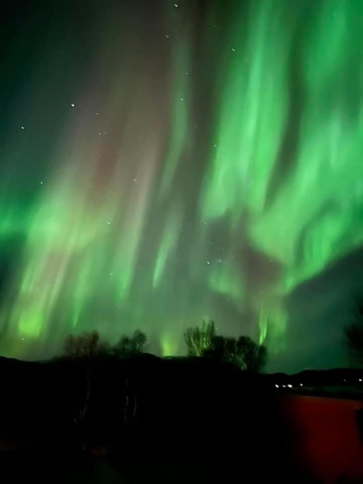 1. Etg I Dampskipsbrygga, Lodingen Havn Exteriör bild